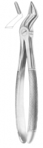 Fig. 112 upper roots 